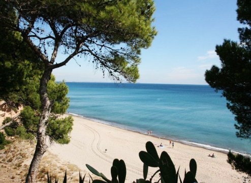 Ferienwohnung in Maimi Playa Spanien